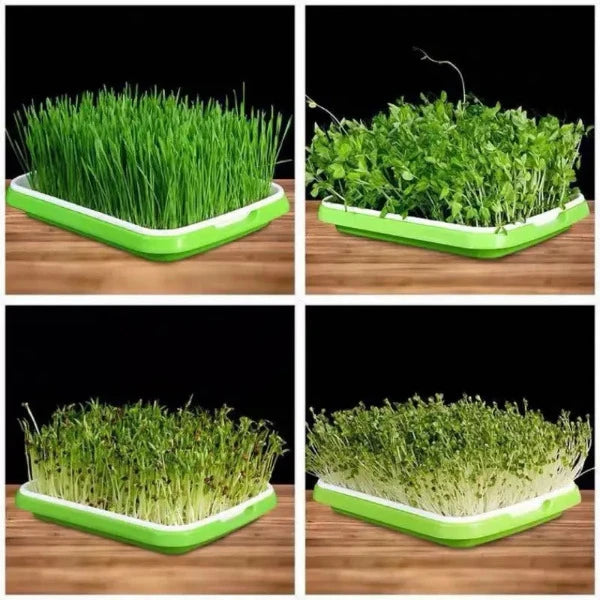 Planting trays for Rock-Wool cubes and other inserts / cube plates 3 sets