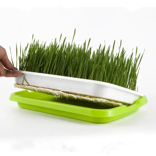 Planting trays for Rock-Wool cubes and other inserts / cube plates 3 sets