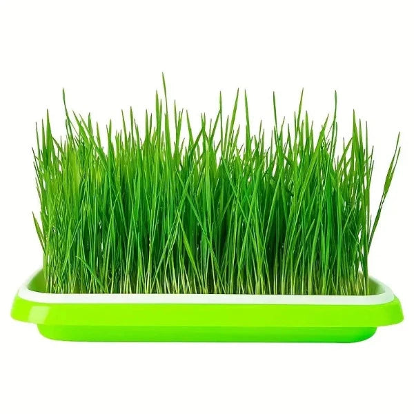 Planting trays for Rock-Wool cubes and other inserts / cube plates 3 sets