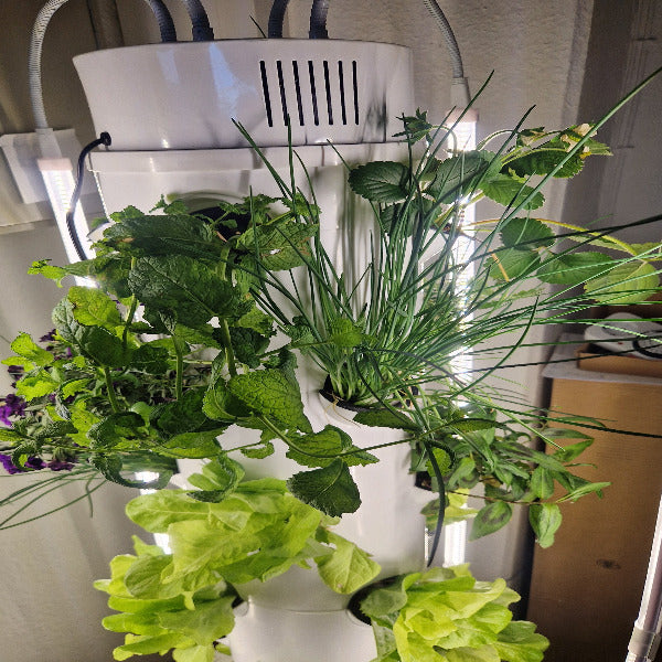 Futuregardens Hydroponics Tower 2 with daylight LED with 6 floors - 24 plants