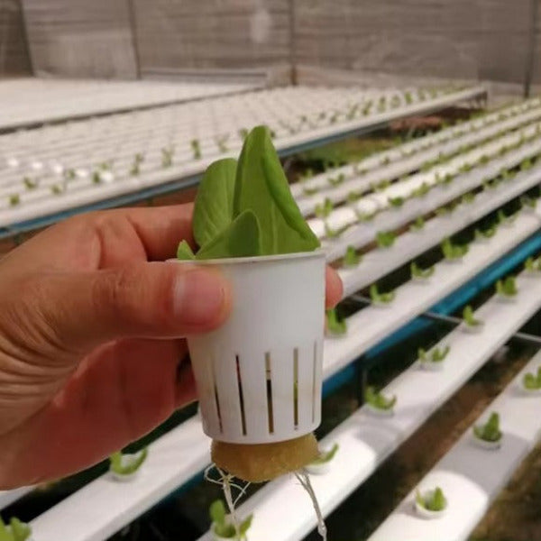 Future Garden NFT Hydroponic System FLAT for 120 plants 2m