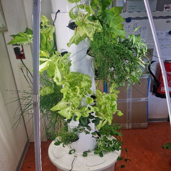 Futuregardens Hydroponics Tower 2 with daylight LED with 6 floors - 24 plants