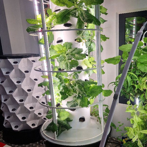 Futuregardens Hydroponics Tower 1 with 10 floors - 60 plants