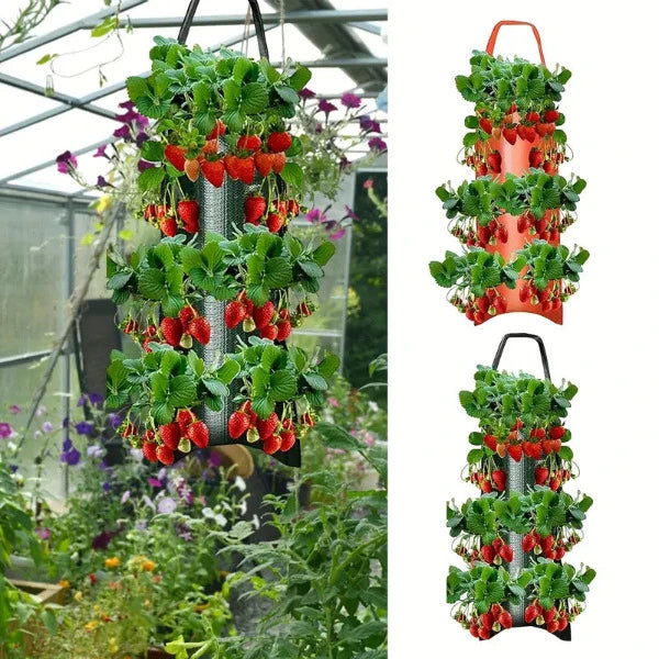 Ensemble de 10 sacs à plantes vert ou orange - une solution de jardin peu encombrante
