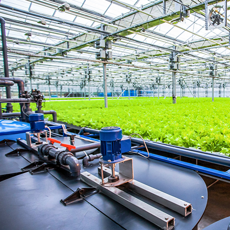 Aquaponics systems