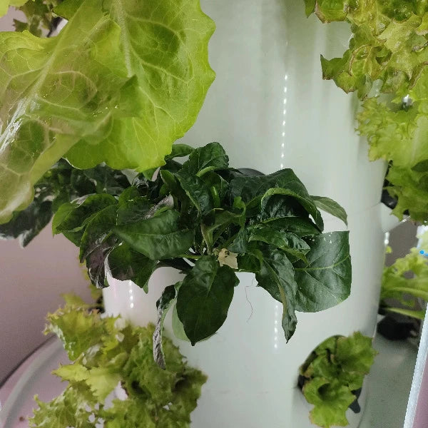 Future Gardens Hydroponics Tower 1 + lampes LED lumière du jour, 10 étages - 60 plantes