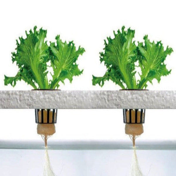 Future Garden NFT Hydroponic System FLAT for 120 plants 2m