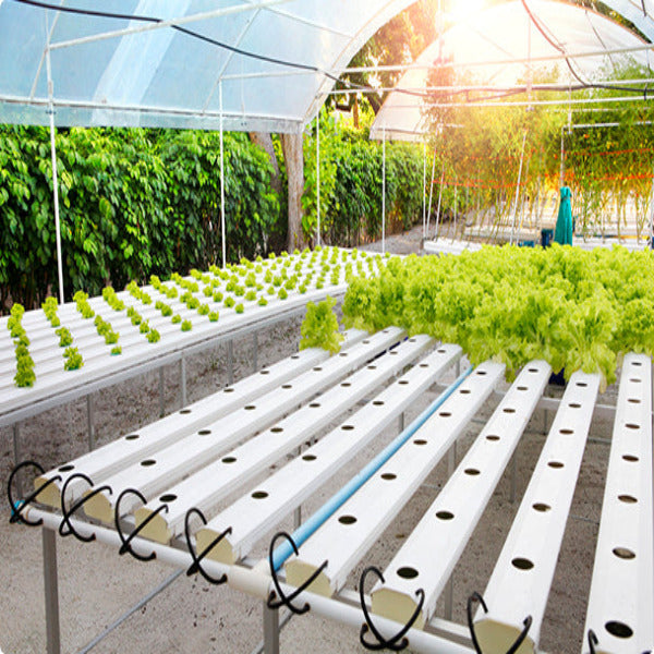 Future Garden NFT Hydroponic System FLAT for 120 plants 2m