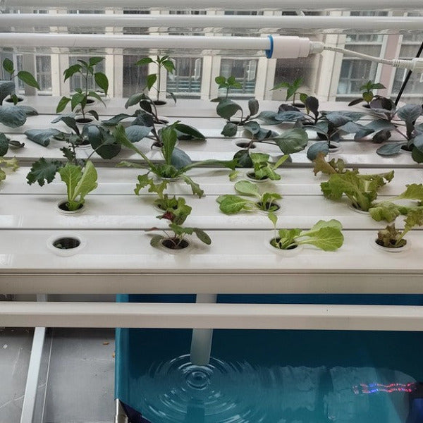 Future Garden NFT Hydroponic System FLAT for 120 plants 2m