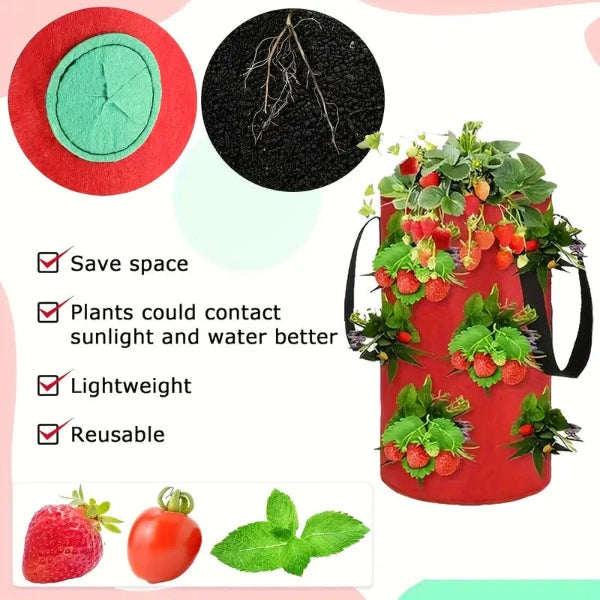 Sacs à plantes suspendus, ensemble de 8 couleurs en matériau polaire de haute qualité de Futuregardens
