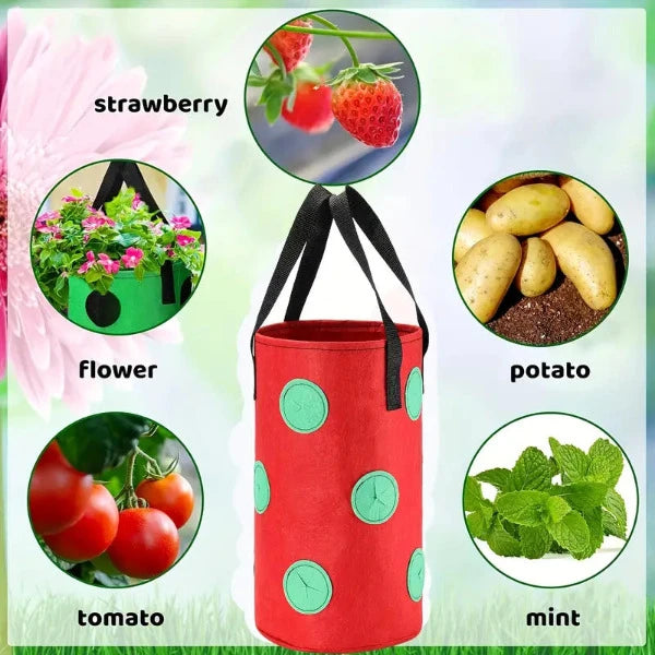 Sacs à plantes suspendus, ensemble de 8 couleurs en matériau polaire de haute qualité de Futuregardens