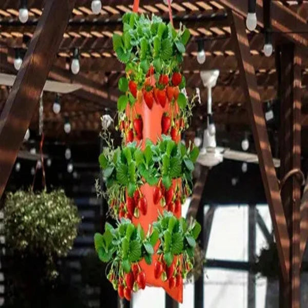 Flower strawberry planting bag 2 pieces, hanging for 8 plants such as fruits, herbs, flowers
