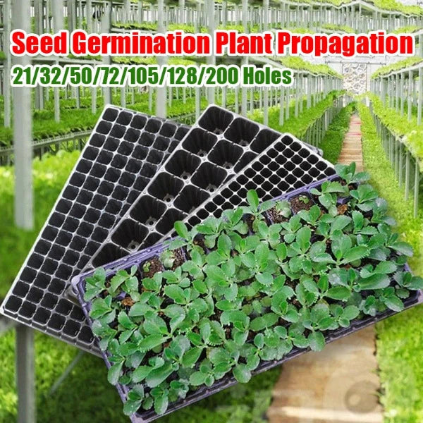Seedling Tray Garden Pots Propagation Seedlings Hydroponics Aeroponics - various sizes