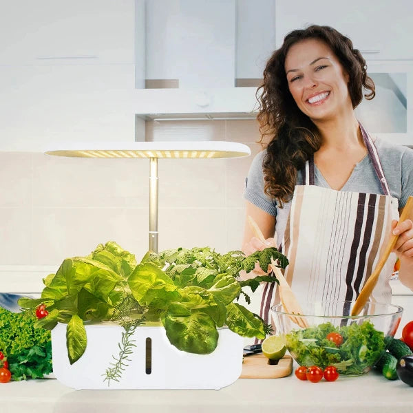 Little Garden - Modell: Sunny- Dein kleiner Hydroponik Garten im Heim für 10 Pflanzen