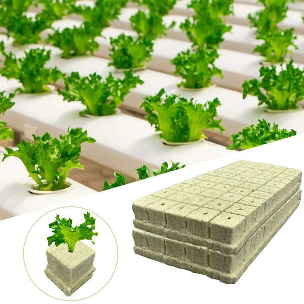 Rock-Wool Würfel / Cube in Platten - ergibt 100 Stck einzelne Cubes 25mm,30mm,40mm
