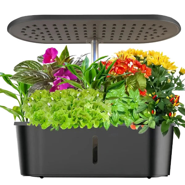Little Garden - Modell: Sunny- Dein kleiner Hydroponik Garten im Heim für 10 Pflanzen