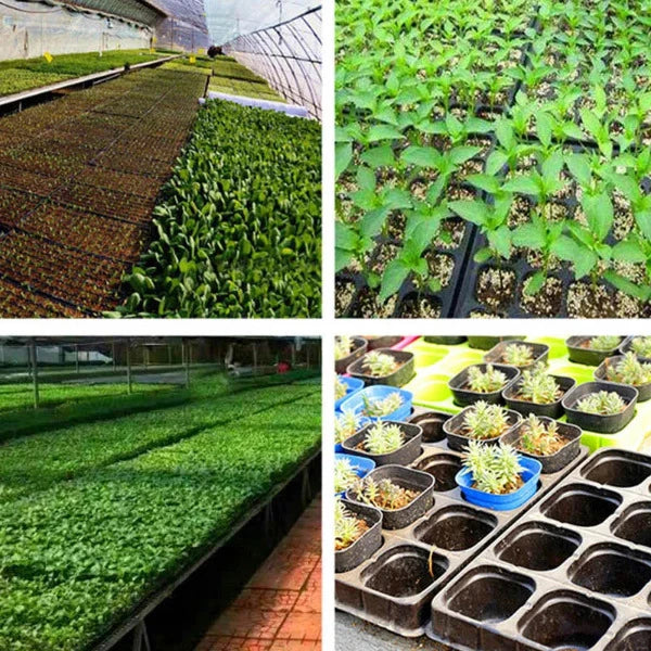 Seedling Tray Garden Pots Propagation Seedlings Hydroponics Aeroponics - various sizes