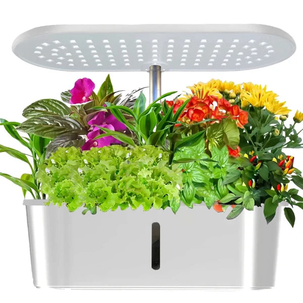 Little Garden - Modell: Sunny- Dein kleiner Hydroponik Garten im Heim für 10 Pflanzen