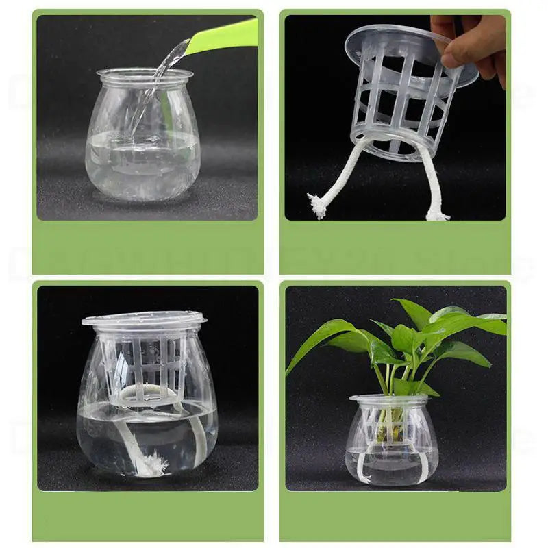 Mesh baskets, foam inserts for hydroponics, hydro (50 pieces) various sizes