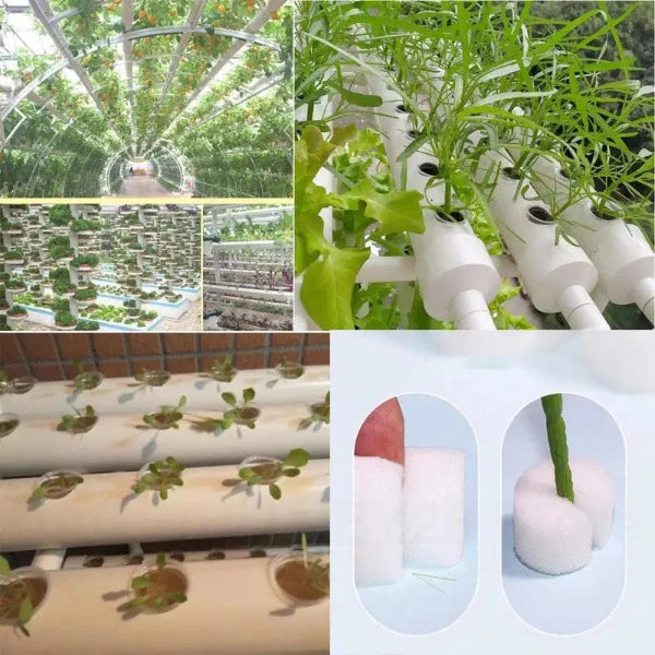 Mesh baskets, foam inserts for hydroponics, hydro (50 pieces) various sizes
