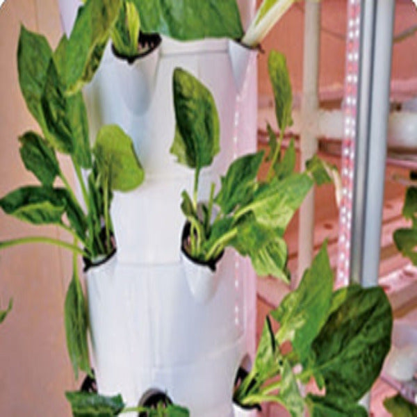 Futuregardens Hydroponics Tower 1 with 10 floors - 60 plants
