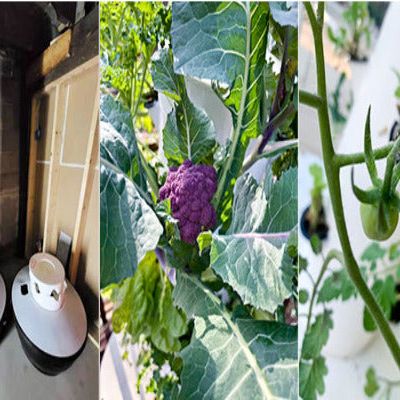 Future Gardens Hydroponics Tower 1 + lampes LED lumière du jour, 10 étages - 60 plantes