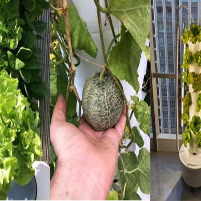 Futuregardens Hydroponics Tower 2 with daylight LED with 6 floors - 24 plants