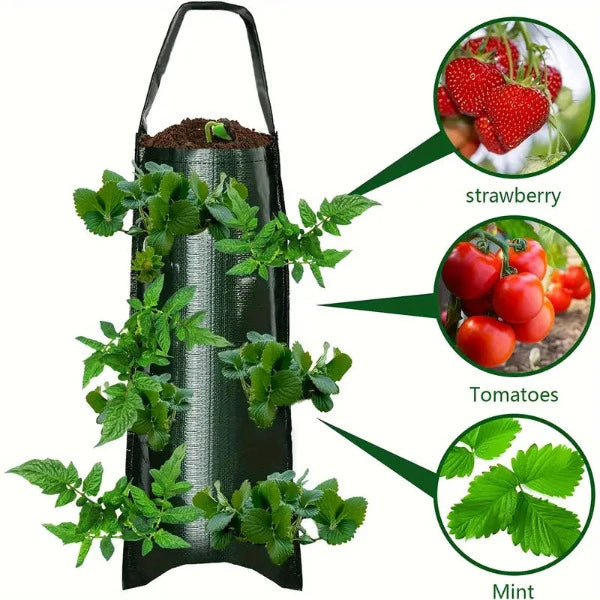 Ensemble de 10 sacs à plantes vert ou orange - une solution de jardin peu encombrante
