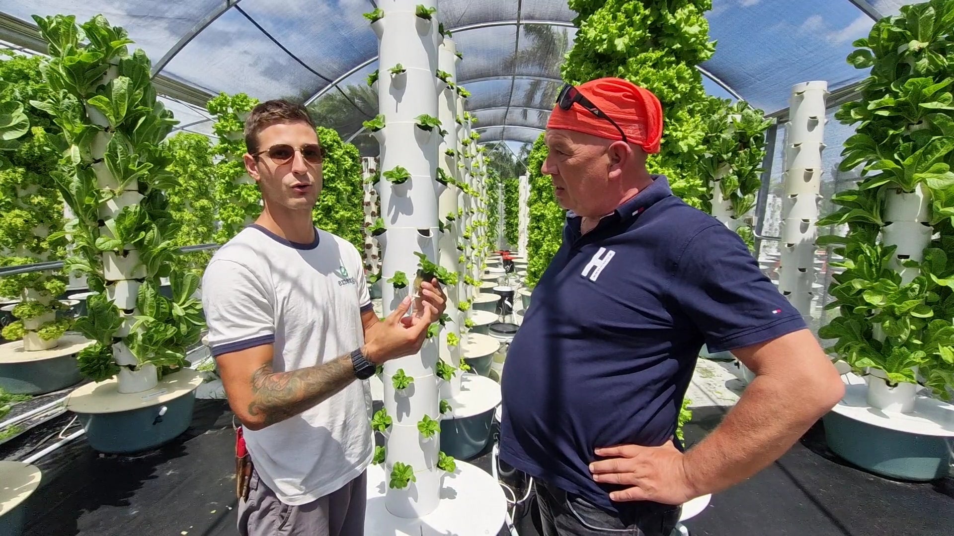 Vergleich Aeroponik vs. herkömmlicher Anbau: Warum Future Garden Systeme die bessere Wahl sind