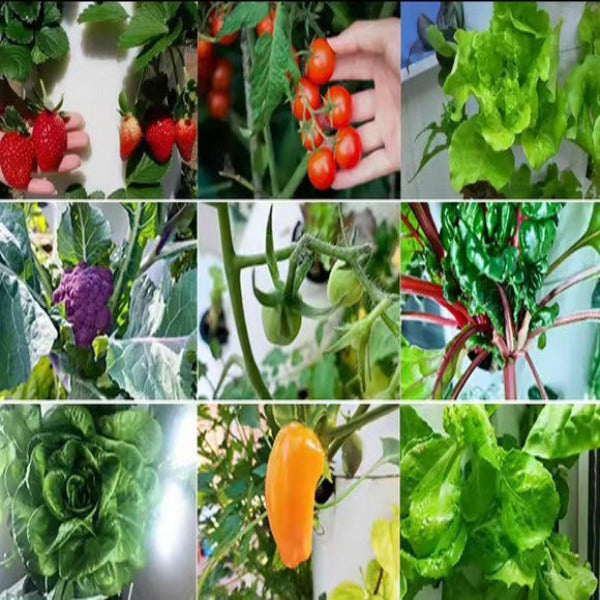 Futuregardens Hydroponics Tower 4 avec lumière du jour LED avec 14 étages - 70 plantes 