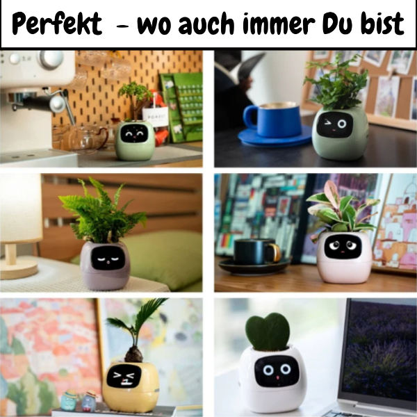 🌿 Dein neues intelligentes Pflanzen -Tamagotchi ,,Ivy,, ein smarter Ki gesteuerter Pflanztopf mit Süßen Gesichtern🌱ein perfektes Geschenk