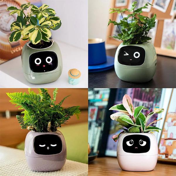 🌿 Dein neues intelligentes Pflanzen -Tamagotchi ,,Ivy,, ein smarter Ki gesteuerter Pflanztopf mit Süßen Gesichtern🌱ein perfektes Geschenk