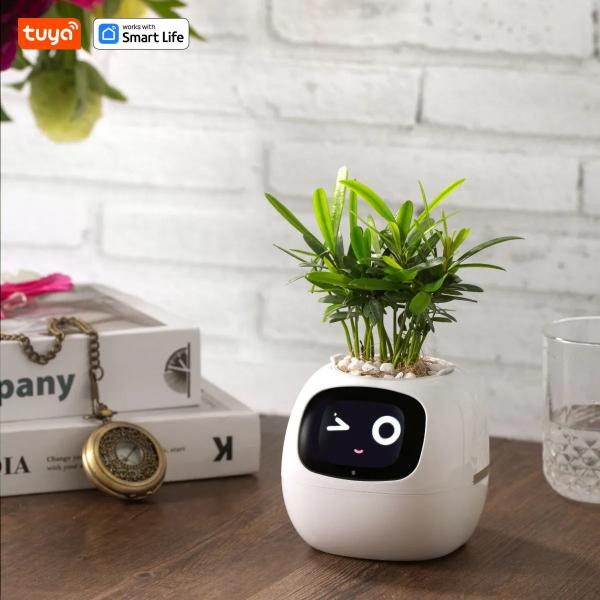 🌿 Dein neues intelligentes Pflanzen -Tamagotchi ,,Ivy,, ein smarter Ki gesteuerter Pflanztopf mit Süßen Gesichtern🌱ein perfektes Geschenk