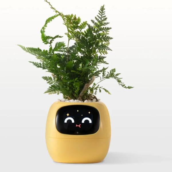 🌿 Dein neues intelligentes Pflanzen -Tamagotchi ,,Ivy,, ein smarter Ki gesteuerter Pflanztopf mit Süßen Gesichtern🌱ein perfektes Geschenk