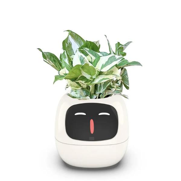 🌿 Dein neues intelligentes Pflanzen -Tamagotchi ,,Ivy,, ein smarter Ki gesteuerter Pflanztopf mit Süßen Gesichtern🌱ein perfektes Geschenk