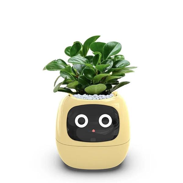 🌿 Dein neues intelligentes Pflanzen -Tamagotchi ,,Ivy,, ein smarter Ki gesteuerter Pflanztopf mit Süßen Gesichtern🌱ein perfektes Geschenk