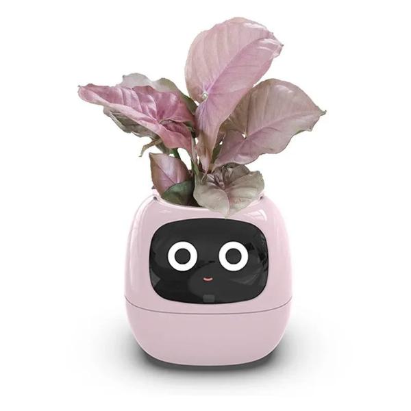 🌿 Dein neues intelligentes Pflanzen -Tamagotchi ,,Ivy,, ein smarter Ki gesteuerter Pflanztopf mit Süßen Gesichtern🌱ein perfektes Geschenk