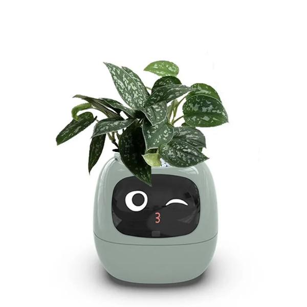 🌿 Dein neues intelligentes Pflanzen -Tamagotchi ,,Ivy,, ein smarter Ki gesteuerter Pflanztopf mit Süßen Gesichtern🌱ein perfektes Geschenk