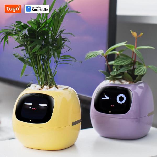 🌿 Dein neues intelligentes Pflanzen -Tamagotchi ,,Ivy,, ein smarter Ki gesteuerter Pflanztopf mit Süßen Gesichtern🌱ein perfektes Geschenk