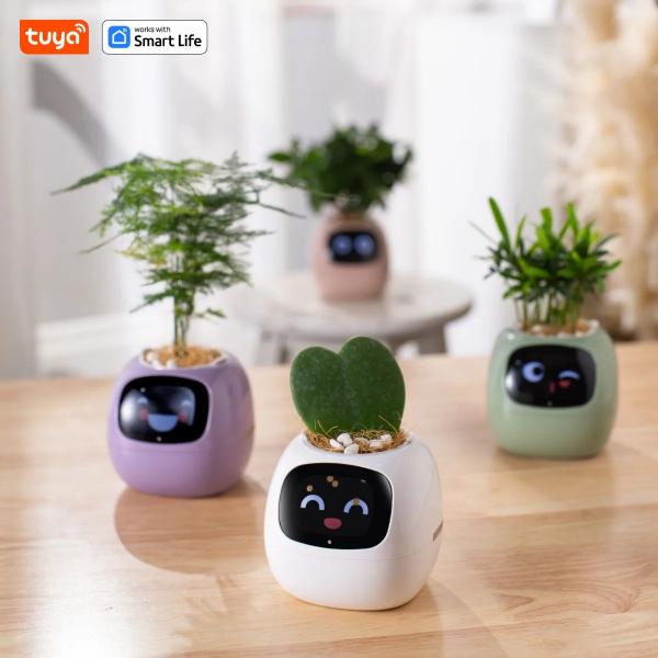 🌿 Dein neues intelligentes Pflanzen -Tamagotchi ,,Ivy,, ein smarter Ki gesteuerter Pflanztopf mit Süßen Gesichtern🌱ein perfektes Geschenk