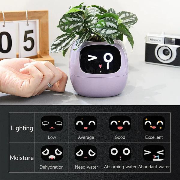 🌿 Dein neues intelligentes Pflanzen -Tamagotchi ,,Ivy,, ein smarter Ki gesteuerter Pflanztopf mit Süßen Gesichtern🌱ein perfektes Geschenk