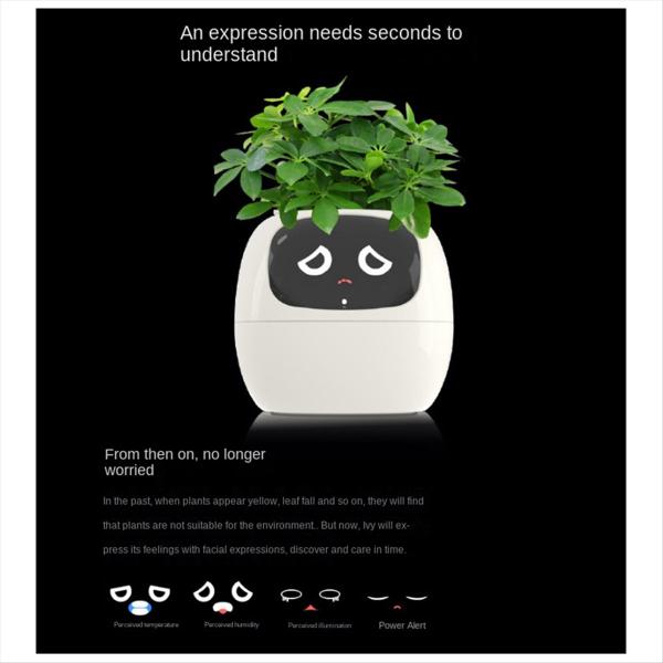 🌿 Dein neues intelligentes Pflanzen -Tamagotchi ,,Ivy,, ein smarter Ki gesteuerter Pflanztopf mit Süßen Gesichtern🌱ein perfektes Geschenk