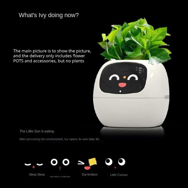 🌿 Dein neues intelligentes Pflanzen -Tamagotchi ,,Ivy,, ein smarter Ki gesteuerter Pflanztopf mit Süßen Gesichtern🌱ein perfektes Geschenk