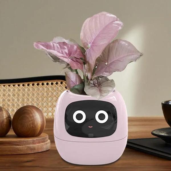 🌿 Dein neues intelligentes Pflanzen -Tamagotchi ,,Ivy,, ein smarter Ki gesteuerter Pflanztopf mit Süßen Gesichtern🌱ein perfektes Geschenk