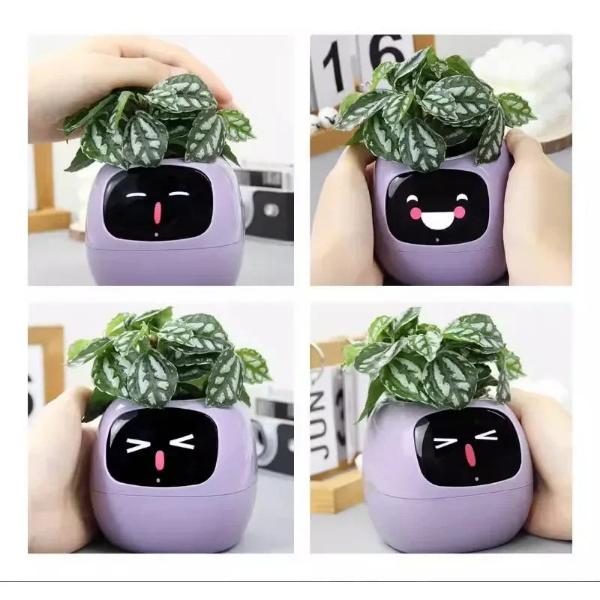 🌿 Dein neues intelligentes Pflanzen -Tamagotchi ,,Ivy,, ein smarter Ki gesteuerter Pflanztopf mit Süßen Gesichtern🌱ein perfektes Geschenk