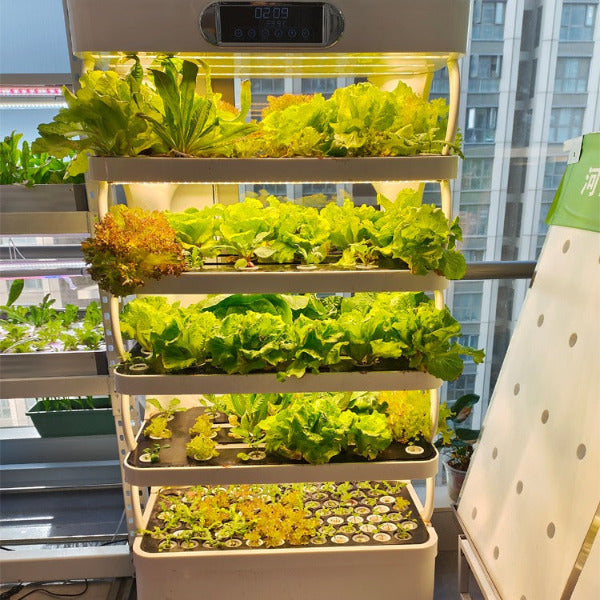 Future Garden - Hydroponik Automatik Grow Anzucht Cabinet für 157 Pflanzen - Zucht Station