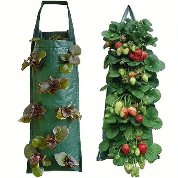 Flower strawberry planting bag 2 pieces, hanging for 8 plants such as fruits, herbs, flowers 