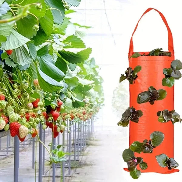 Flower strawberry planting bag 2 pieces, hanging for 8 plants such as fruits, herbs, flowers 