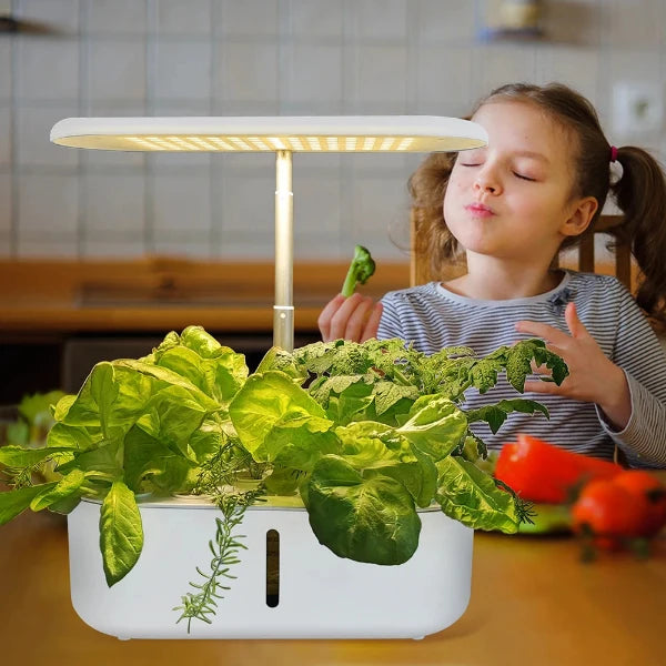 Little Garden - Modell: Sunny- Dein kleiner Hydroponik Garten im Heim für 10 Pflanzen