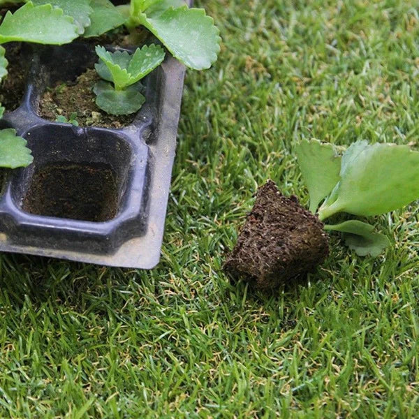 Plateau de semis pots de jardin culture semis hydroponie aéroponie - différentes tailles